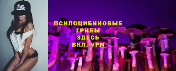 синтетический гашиш Алексин