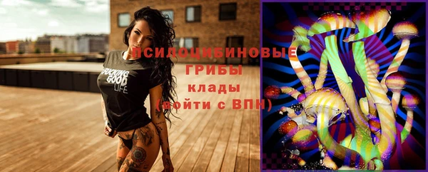а пвп мука Алзамай