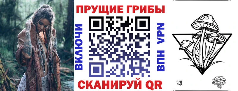 цены   Аргун  Галлюциногенные грибы Psilocybe 