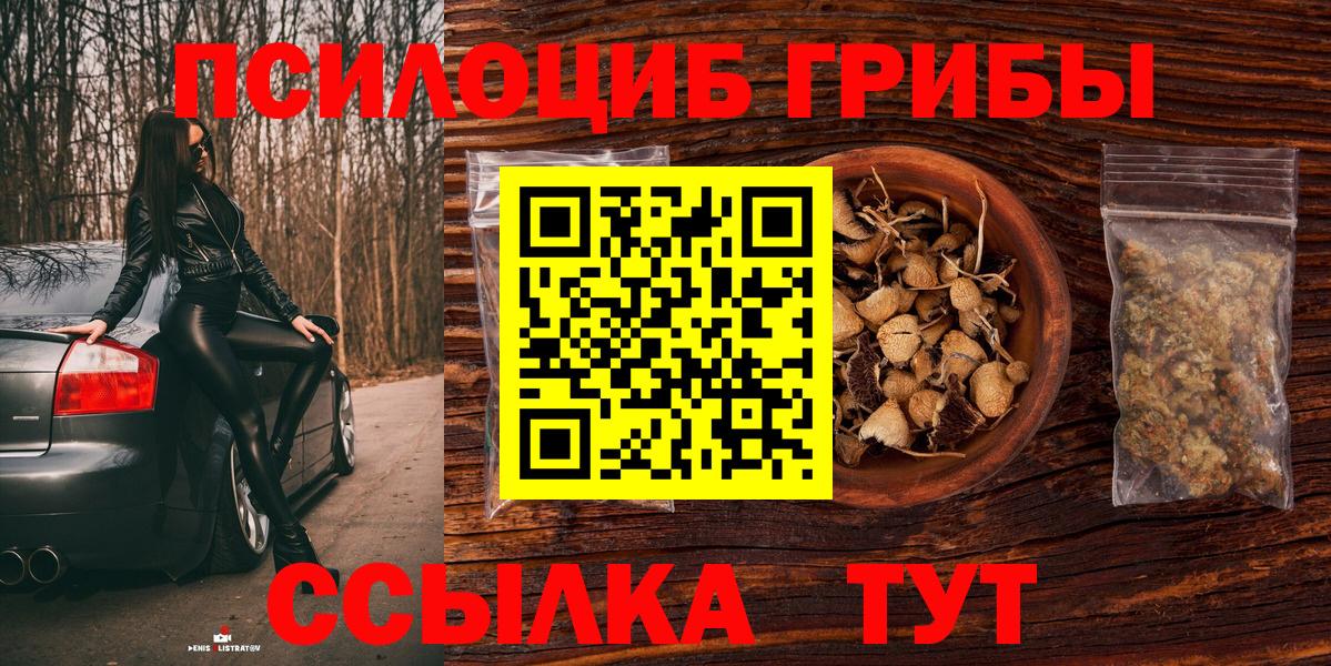 Галлюциногенные грибы мицелий  Вход с VPN  Аргун 