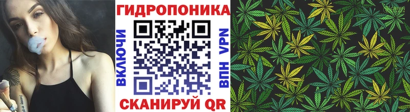 Марихуана OG Kush продажа наркотиков Аргун